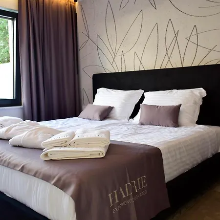 Luxury - Hadrie D *